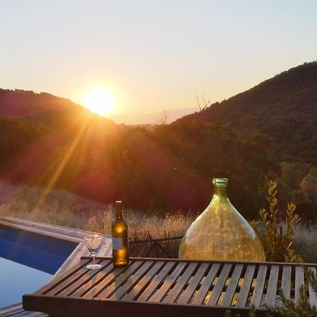 Il Capriolo Villa San Cerbone Luaran gambar