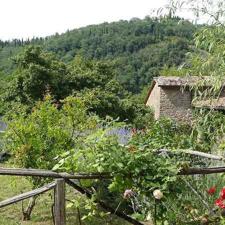 Il Capriolo Villa San Cerbone Luaran gambar