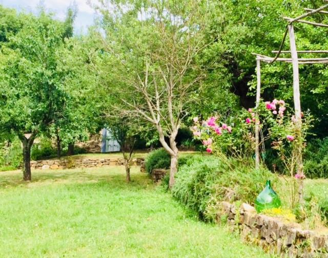Il Capriolo Villa San Cerbone Luaran gambar