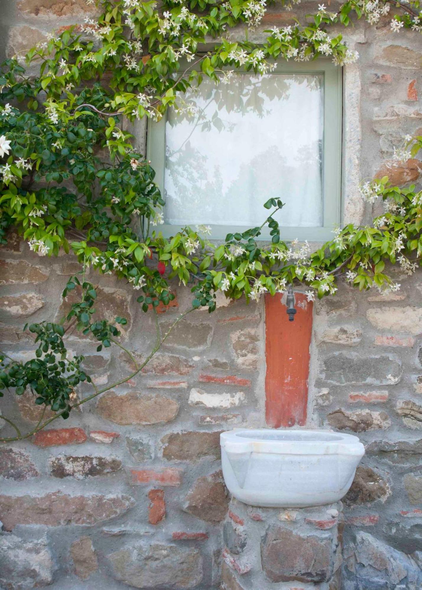 Il Capriolo Villa San Cerbone Luaran gambar