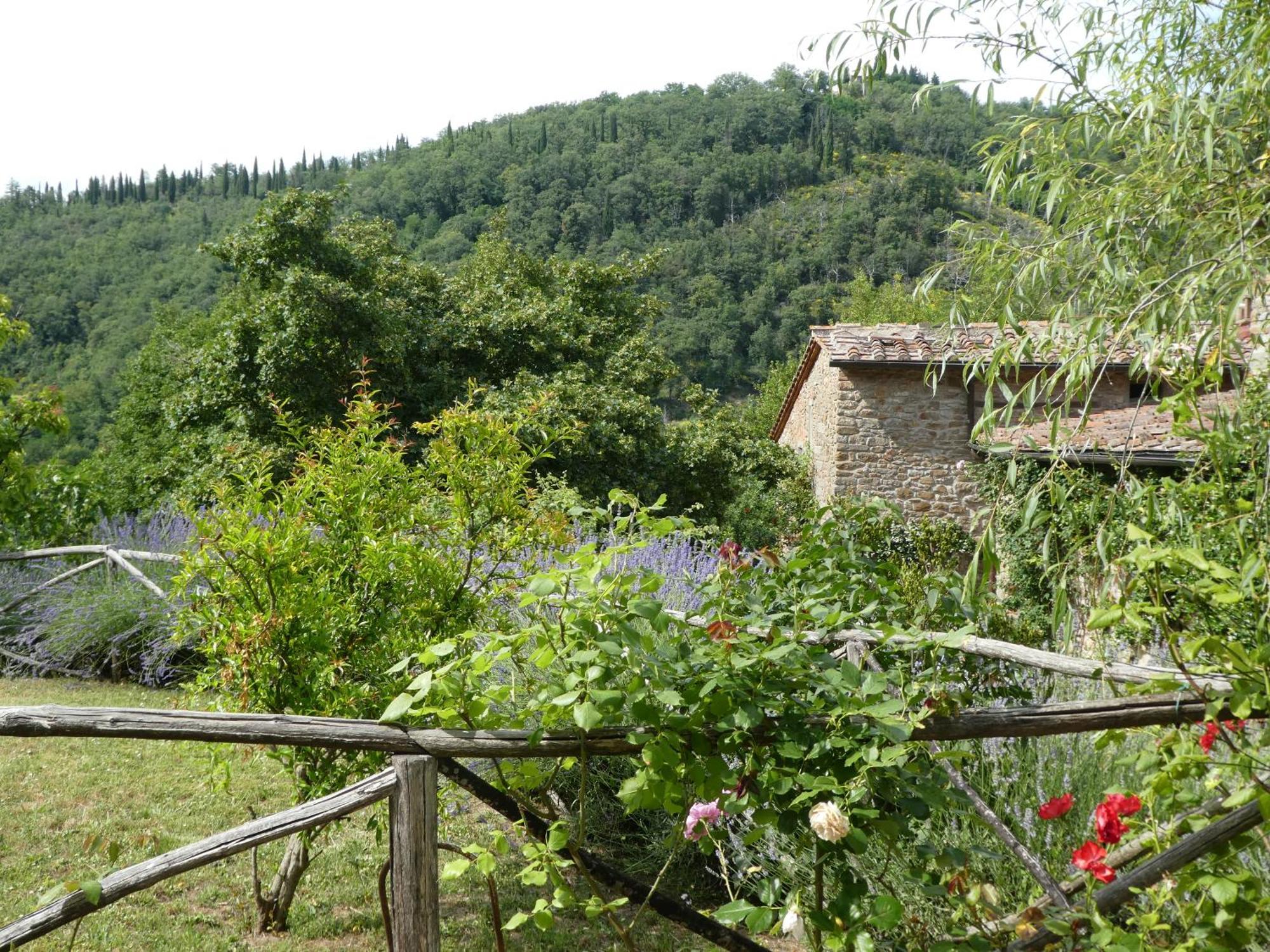 Il Capriolo Villa San Cerbone Luaran gambar