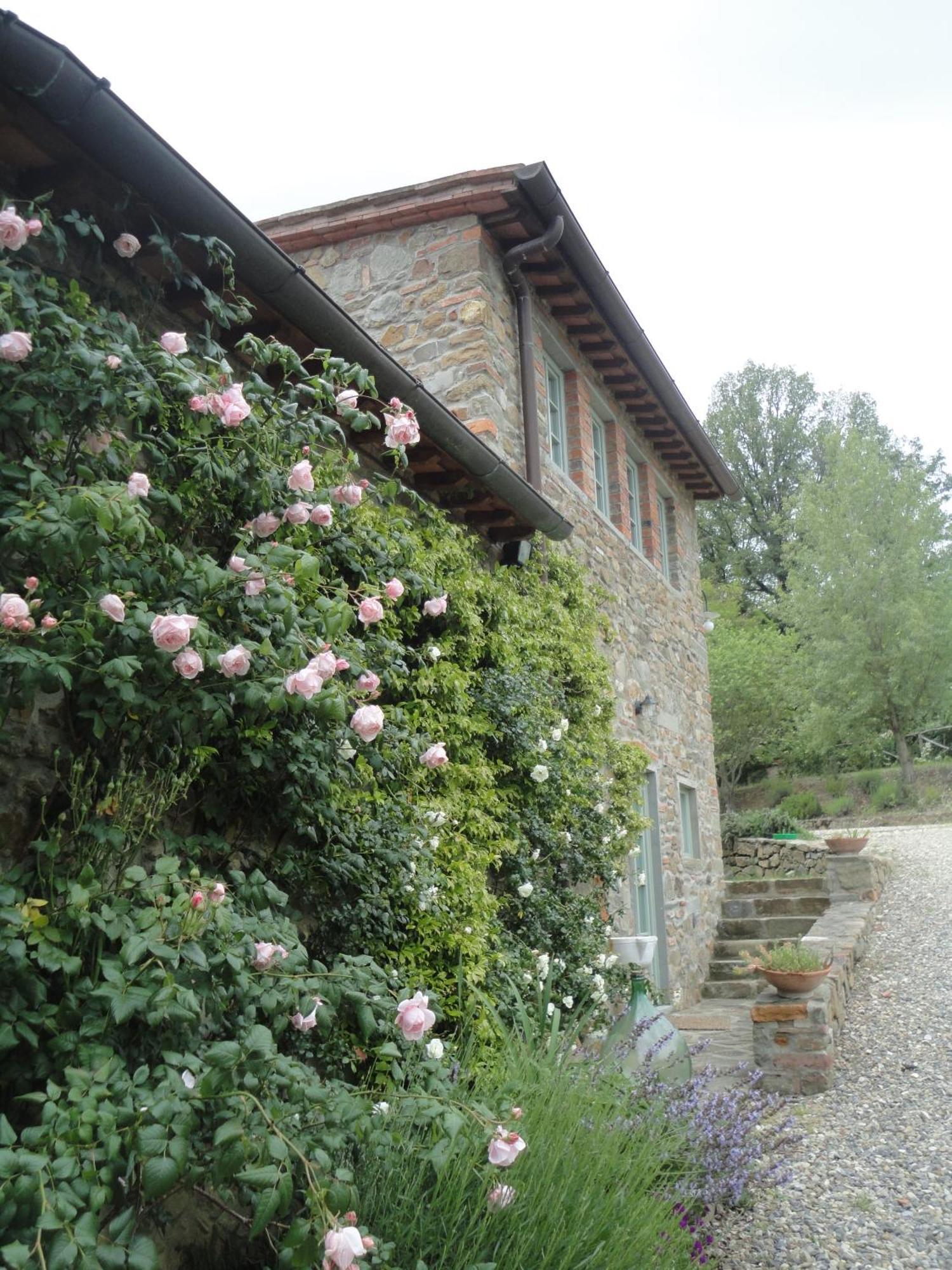 Il Capriolo Villa San Cerbone Luaran gambar