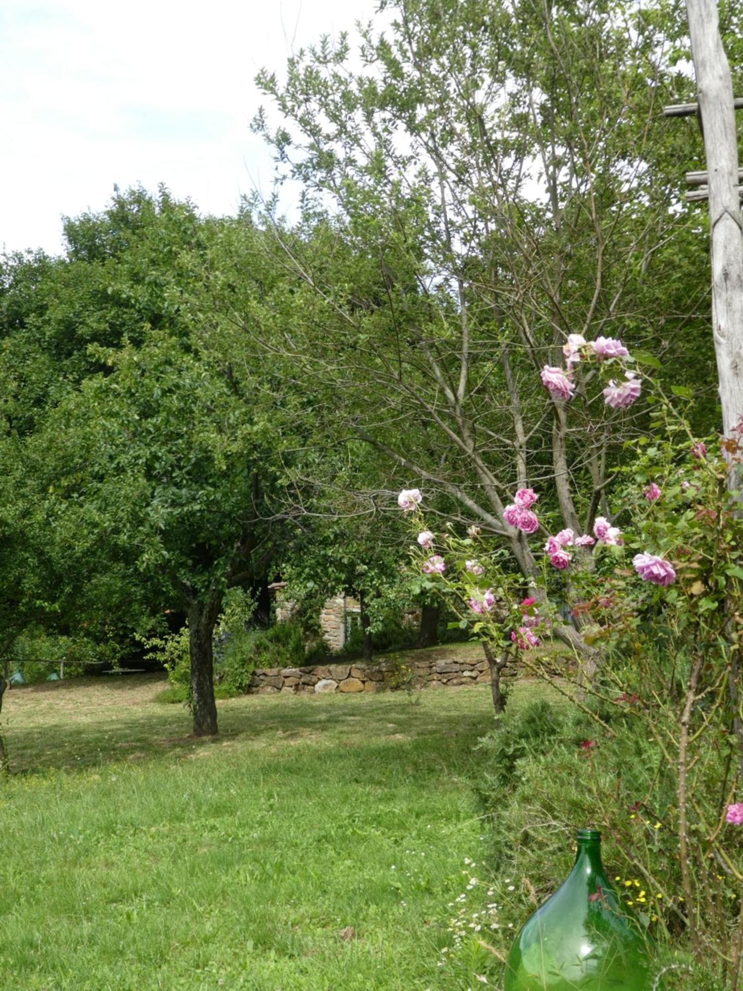 Il Capriolo Villa San Cerbone Luaran gambar